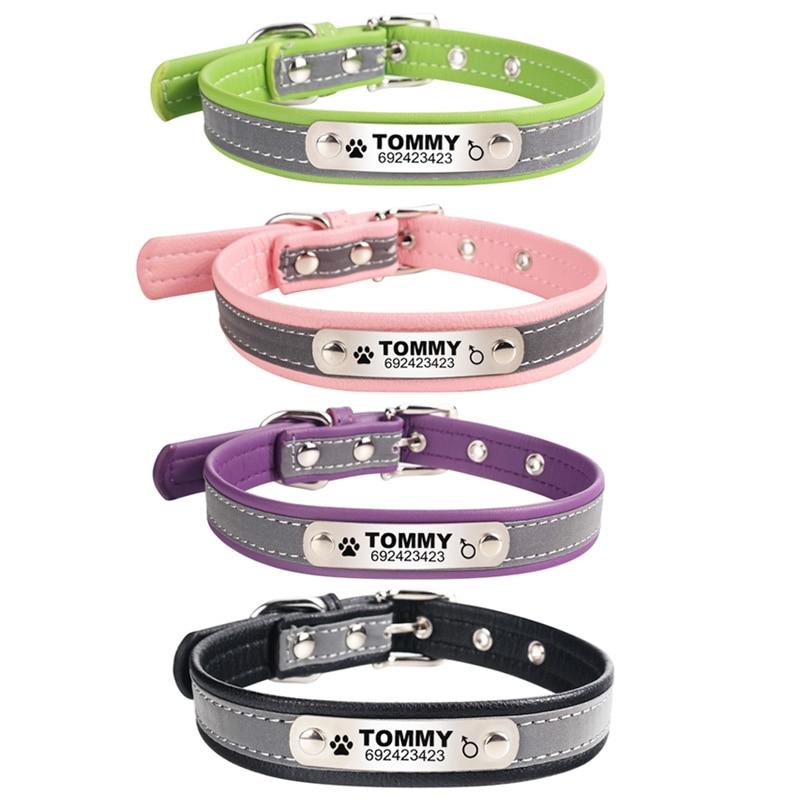 Custom Engraved Reflective Dog Collar with Tag