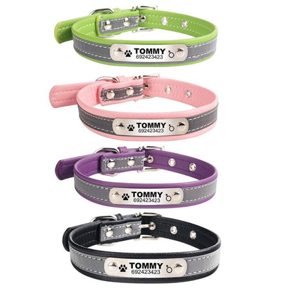 Custom Engraved Reflective Dog Collar with Tag