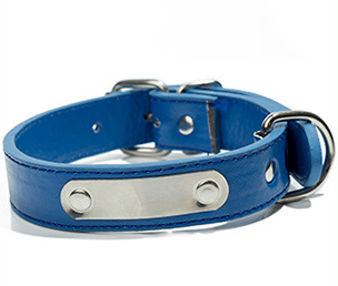 Custom Engraved Reflective Dog Collar with Tag