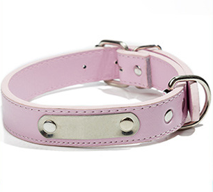 Custom Engraved Reflective Dog Collar with Tag