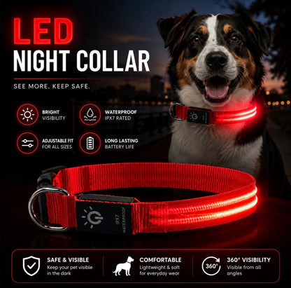 LED Waterproof Night Pet Collar with Lighting