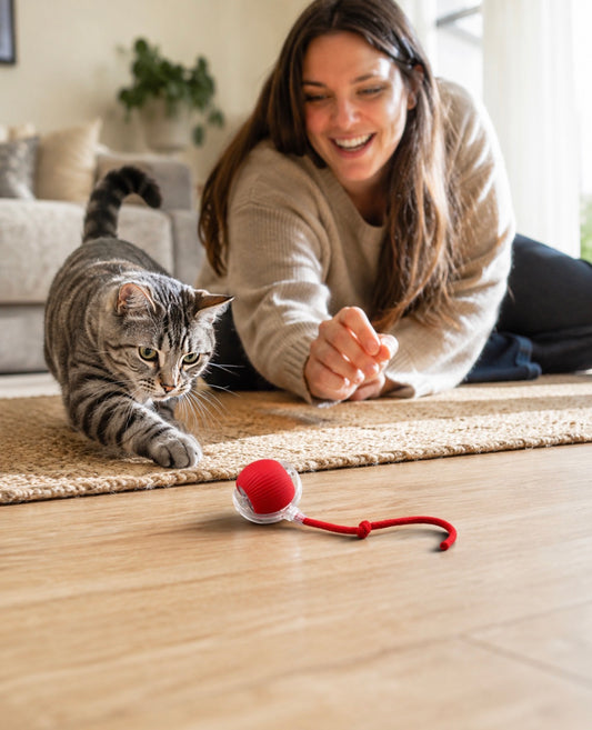 PurrPlay Self-Rolling Cat Toy Ball