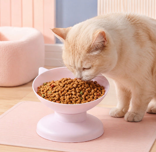 Oversize Cat Bowl