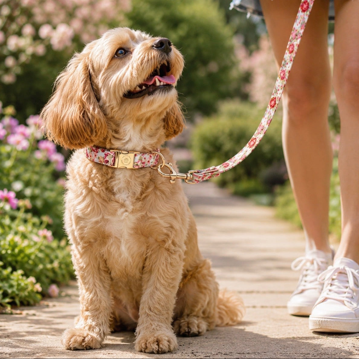 Custom Dog Collar with Personalized Name Tag