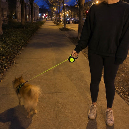 Reflective Pet Leash for Enhanced Safety