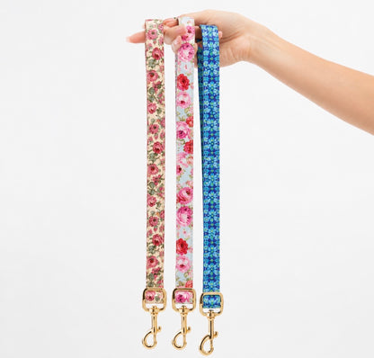 Custom Dog Collar with Personalized Name Tag
