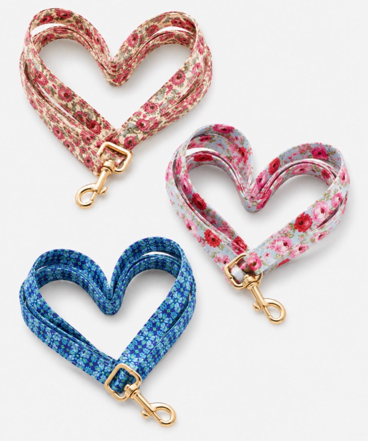 Custom Dog Collar with Personalized Name Tag