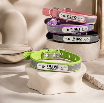 Custom Engraved Reflective Dog Collar with Tag
