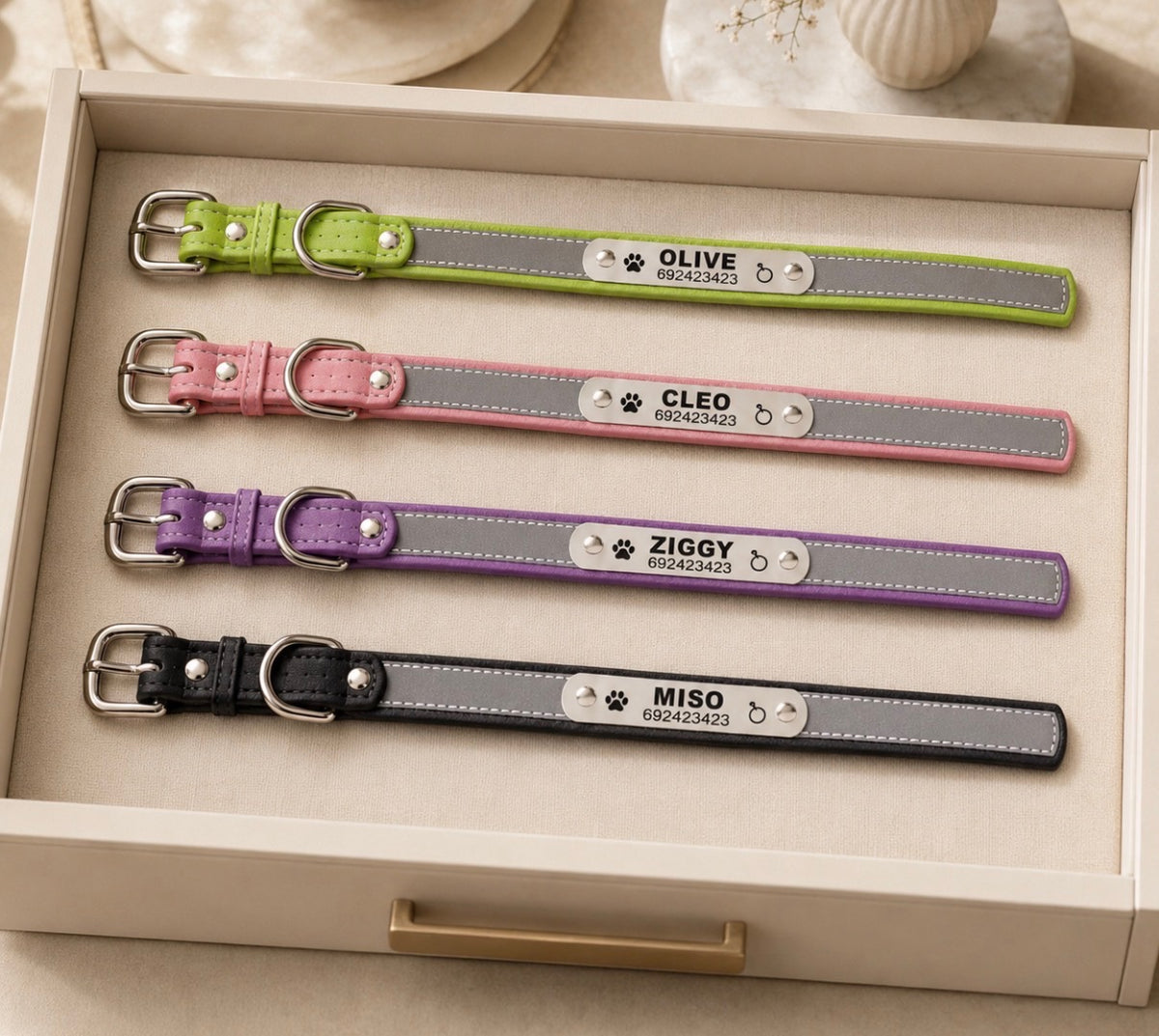 Custom Engraved Reflective Dog Collar with Tag