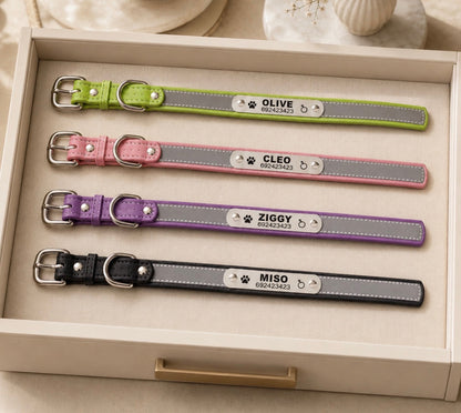 Custom Engraved Reflective Dog Collar with Tag